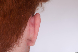 Fergal ear 0004.jpg